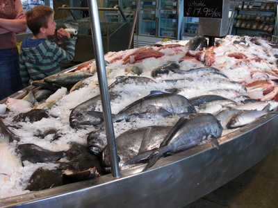 fish